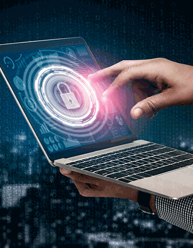 代表！能不能查酒店入住信息查询系统